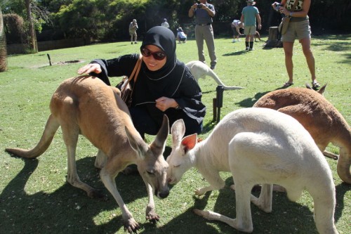 Developing pathways to maintain tourism growth