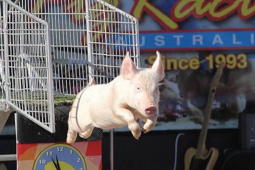 Melbourne Royal Show expands to 12 days