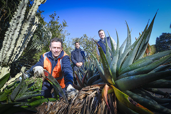 Collaboration developed between Geelong Botanic Gardens and Werribee Open Range Zoo