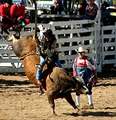 Bumper crowds enjoy 63rd Mareeba Rodeo