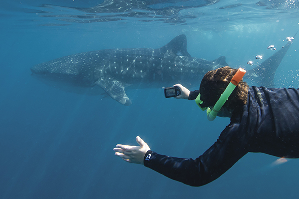 Tourism WA supports industry impacted by coronavirus