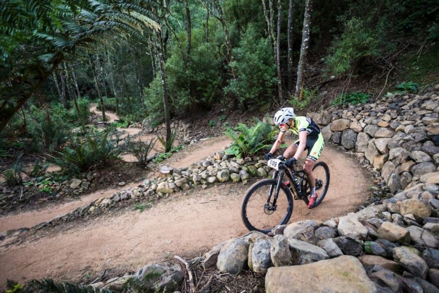 Tasmanian councils aim to expand mountain bike tourism